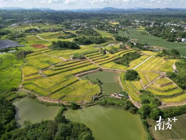 全域土地综合整治，兴宁全域土地综合整治，合水镇全域土地综合整治1