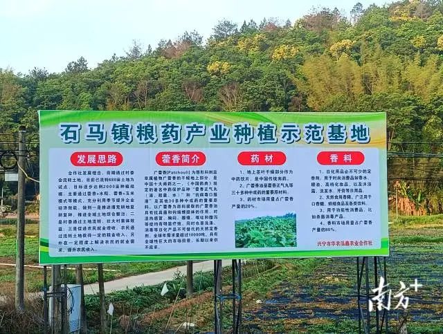 全域土地综合整治，兴宁市全域土地综合整治，石马镇全域土地综合整治4